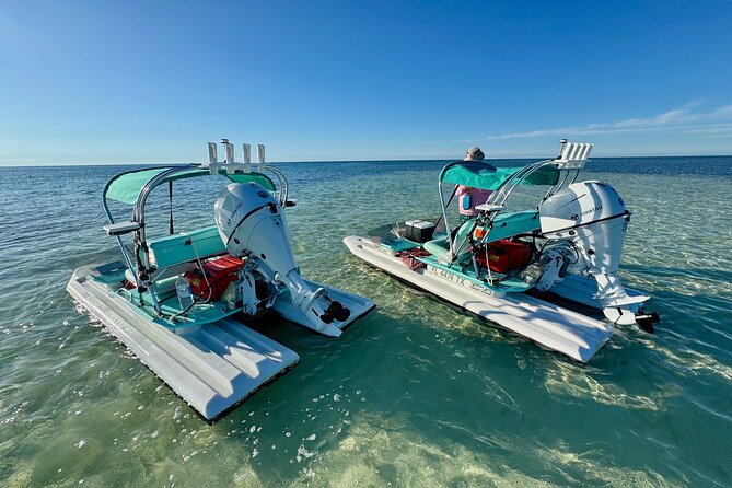 2 Hour Key West Mini Catamaran Eco Tour - Stop 4: Wildlife Encounters Where Season Changes Everything