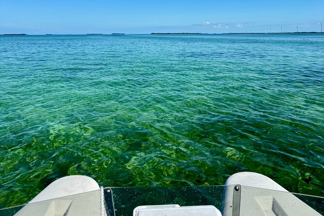 2 Hour Key West Mini Catamaran Eco Tour - Pricing and Value: Why About $264.95 for Up to Two People Can Make Sense