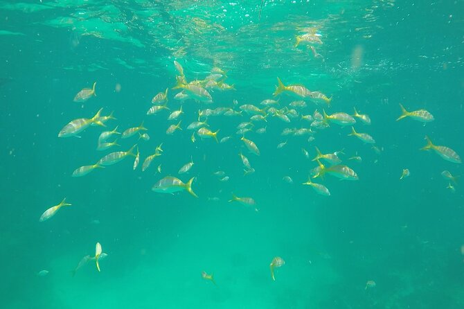 3 Hour Private Snorkeling in Marathon Florida - What’s included onboard—and what to bring so you’re comfortable