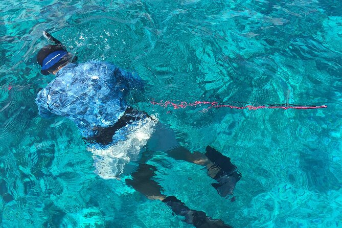 3 Hour Private Snorkeling in Marathon Florida - Safety and physical requirements: swim on your own, manage boat steps