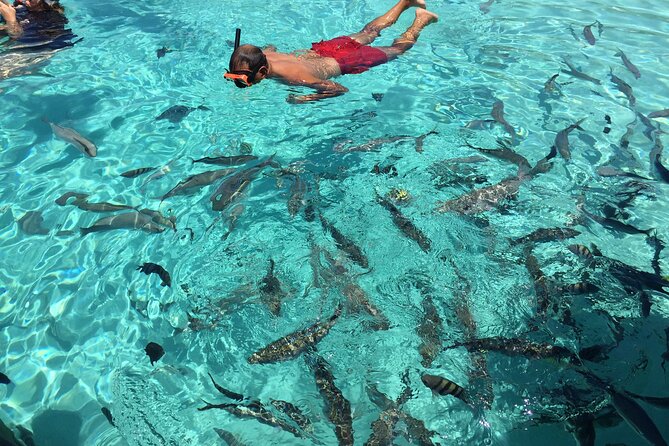 3 Hour Private Snorkeling in Marathon Florida - How pickup works for select Marathon hotels