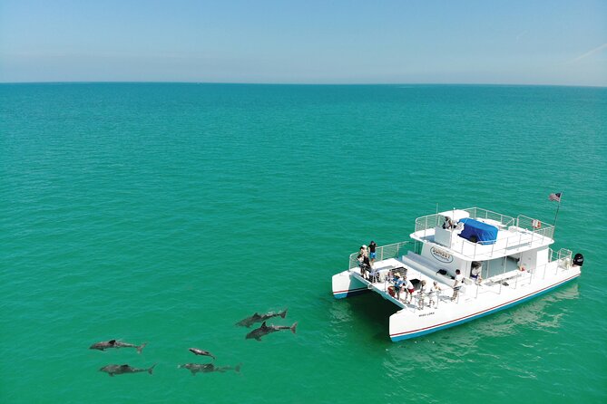All-Inclusive Sandbar Safari with Dolphin Playground Encounter - Water Toys and Snorkel Gear: Plan Like a Pro