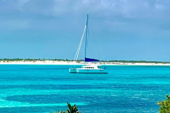 Bimini Charters - Private 3hr Catamaran Charters, Sail & Snorkel - What the Boat Time Feels Like: Deck Drinks, Trampolines, and Real Relaxation