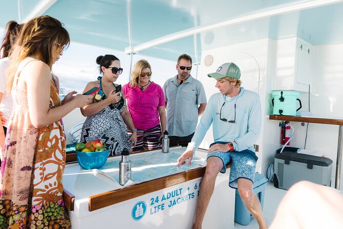 Biologist Owned & Operated: Dolphin Watching & Guided Snorkeling - Dolphin watching from SQUID: year-round bottlenose behavior, not a hurried search