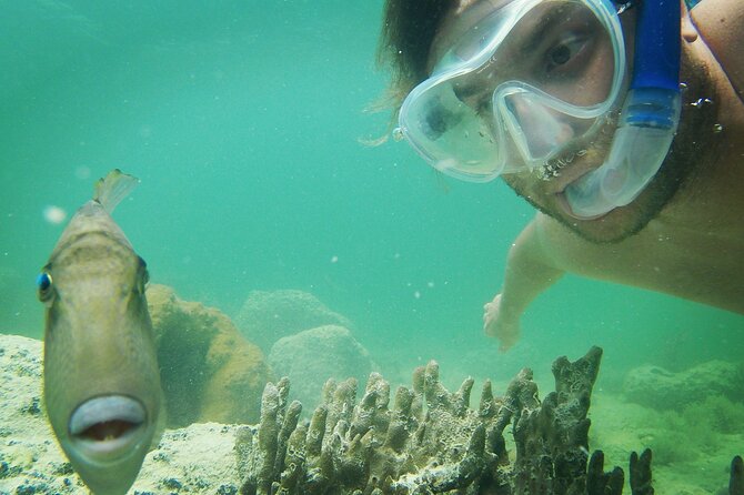 Biologist Owned & Operated: Dolphin Watching & Guided Snorkeling - Snacks, water, and the “no-stress” feel on the catamaran
