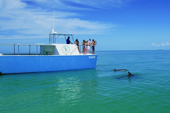 Biologist Owned & Operated: Dolphin Watching & Guided Snorkeling - Who should book this tour, and who might prefer something else