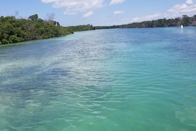 Boat Excursion in Florida Keys with Snorkeling Equipment - Gulf backcountry vs. Atlantic clarity: how the captain chooses