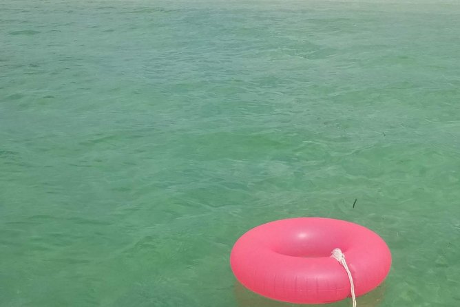 Boat Excursion in Florida Keys with Snorkeling Equipment - Snorkeling gear onboard: what you’ll be able to do