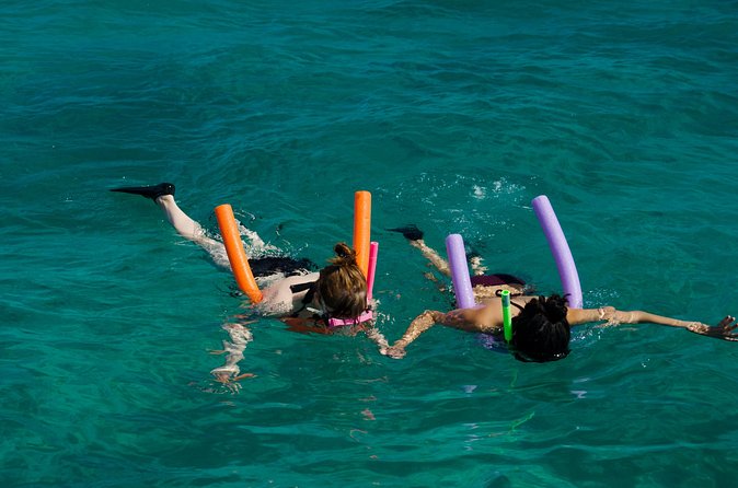 Champagne Dolphin Sail and Reef Snorkel - How to Make the Most of Your 3 Hours in Key West