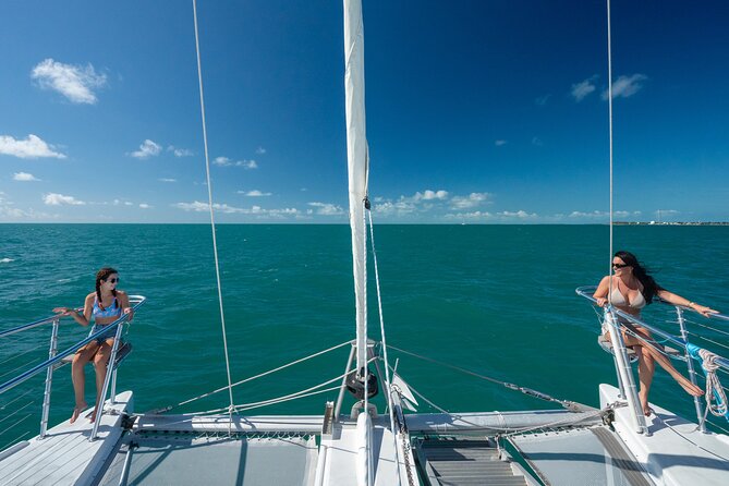 Champagne Dolphin Sail and Reef Snorkel - Dolphin-Watching: Chasing Wild Moments (Not Guaranteed Photos)