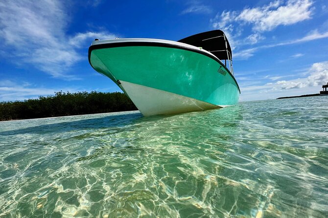 Custom Charters with a Local Captain - The Day Rhythm: How the Time Usually Feels