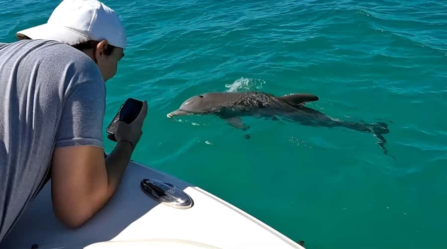 Dolphin & Snorkeling Key West - Kids, families, and the non-negotiables on board
