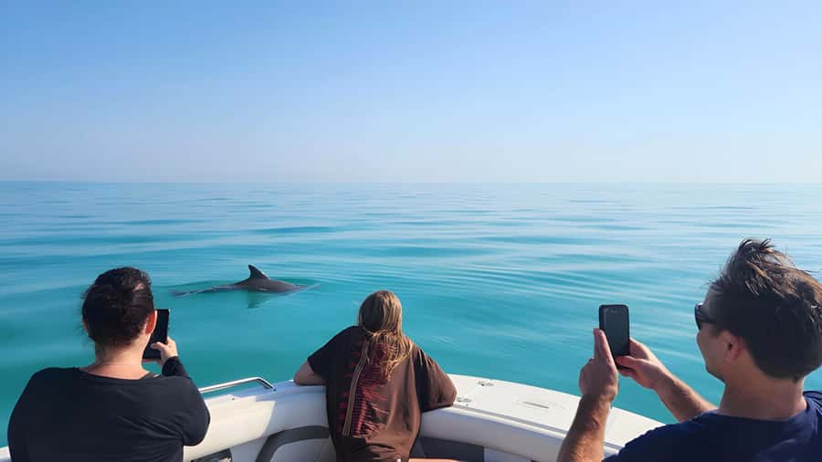 Dolphin & Snorkeling Key West - Salty Oyster Dockside meeting point and what to bring