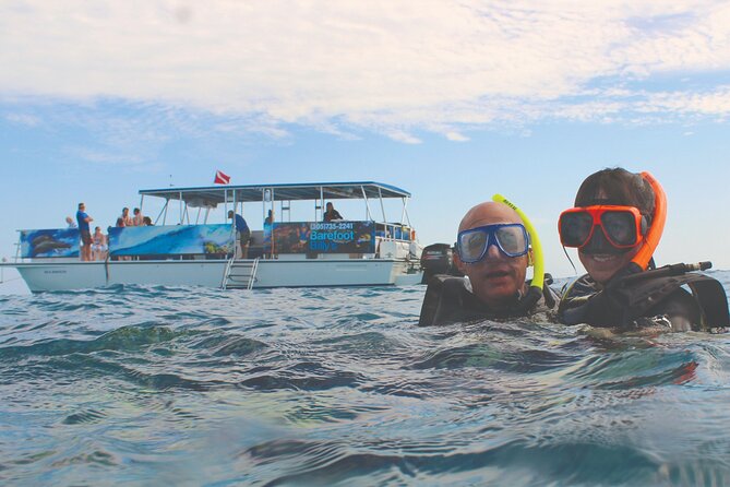 Dolphin Watching and Snorkeling Adventure in Key West - Meet point and flow: what the first hour feels like