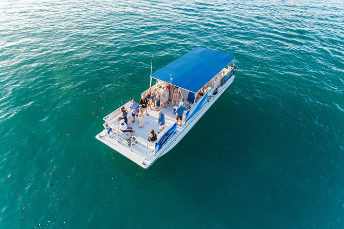 Dolphin Watching and Snorkeling Adventure in Key West - Value check: is $89 a good deal for Key West at 1 pm?