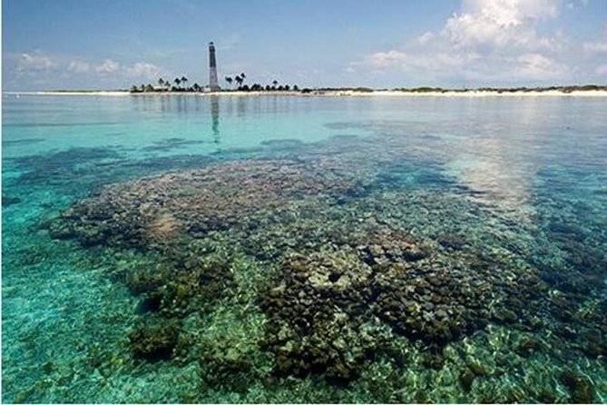Dry Tortugas National Park Day Trip by Catamaran from Key West - Fort Jefferson Tour: 45 Minutes That Turns a Fort Into a Story