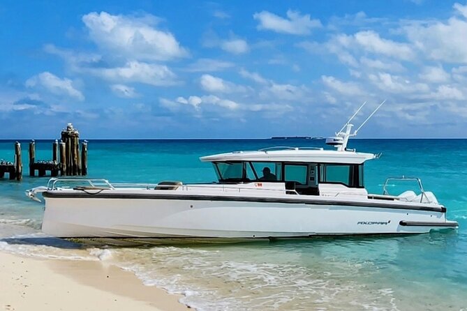 Dry Tortugas National Park Day Trip by Luxury Private Boat - Weather, water conditions, and how to protect your day
