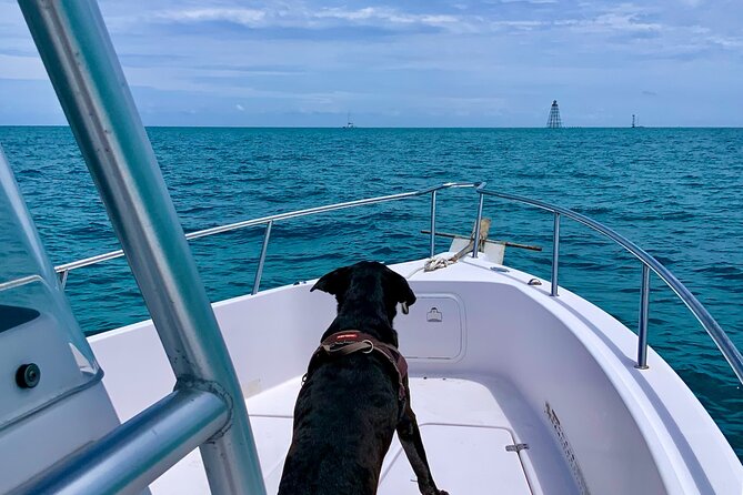 Explore the Waters of Key West - The 4-Hour Format: What the Time Really Buys You