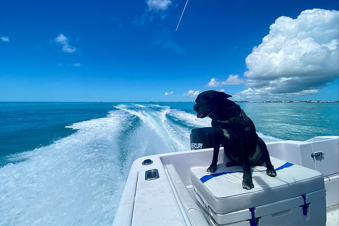 Explore the Waters of Key West - Florida Keys Stop: A Scenic Warm-Up Before the Reef