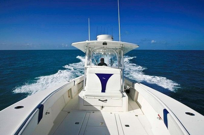 Fishing Charters in Key West Florida - What you’ll do on the lines: shifting tactics with the water