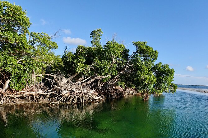 Florida Keys Backcountry Eco Tour from Big Pine Key - Big Pine Key Logistics: Where You Meet and How the Day Feels