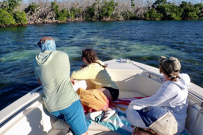 Florida Keys Backcountry Eco Tour from Big Pine Key - Great White Heron Wildlife Refuge: Birds on the Nesting Grounds