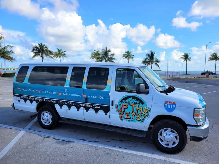 Florida Keys: Dolphin Research Center Day Tour with Lunch - Key Points You’ll Appreciate