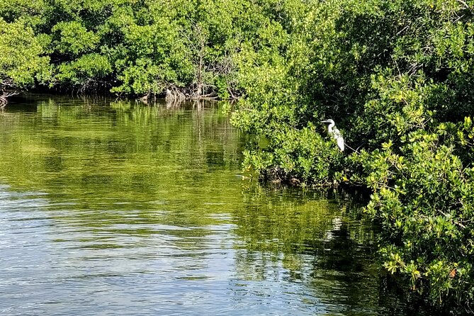 Florida Keys Kayak And Paddleboard Rentals - The Staff Advantage: Steve, Allison, and Getting Your Paddle Bearings Fast