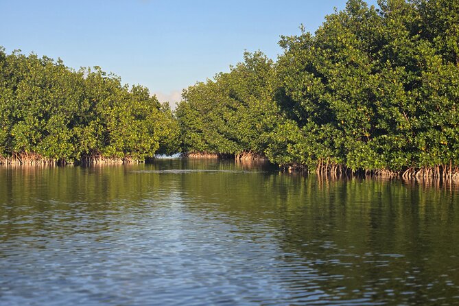 Florida Keys Kayak And Paddleboard Rentals - What “About 2 Hours” Really Means on the Water