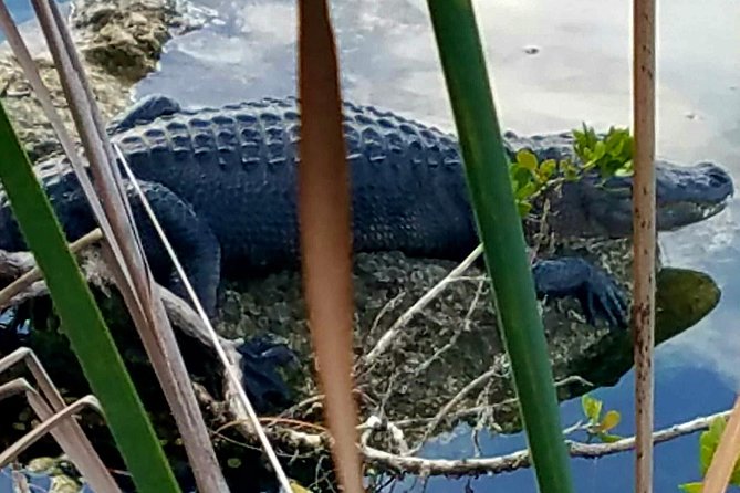 Florida Keys Nature & History Tour from Key West - Bahia Honda State Park: beach time plus the bonus of walking the rail bridge
