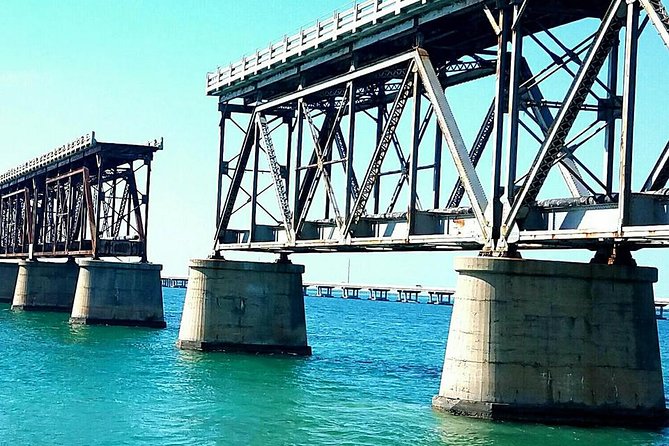 Florida Keys Nature & History Tour from Key West - National Key Deer Refuge: a focused safari for an endangered icon