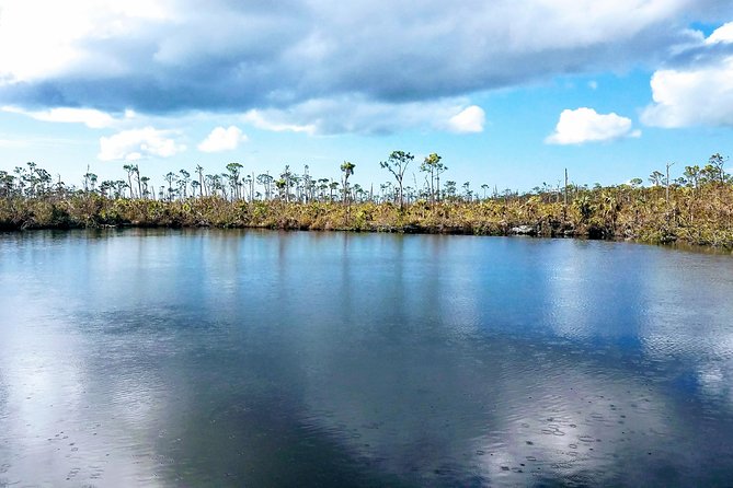 Florida Keys Nature & History Tour from Key West - What the included van ride feels like with pickup and max-12 groups