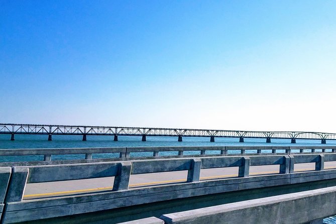 Florida Keys Nature & History Tour from Key West - Who this tour fits best (and who should skip it)
