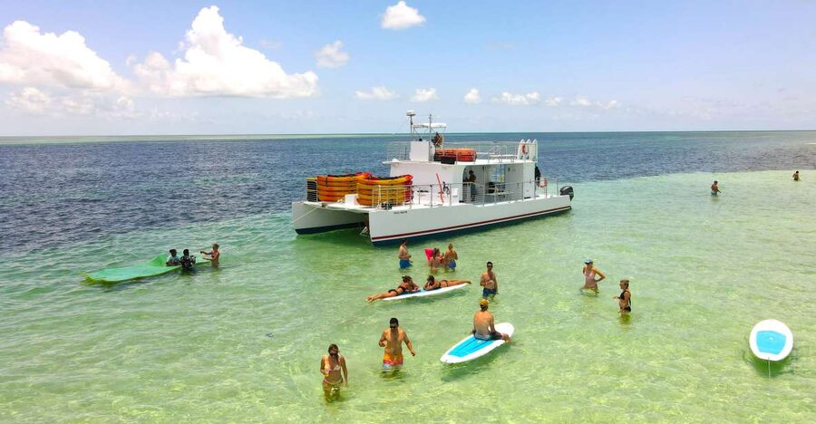 From Key West: Dolphin Watching Tour with Lunch & Drinks - Dolphin Watching in the Florida Marine Sanctuary: Close, Not Forced