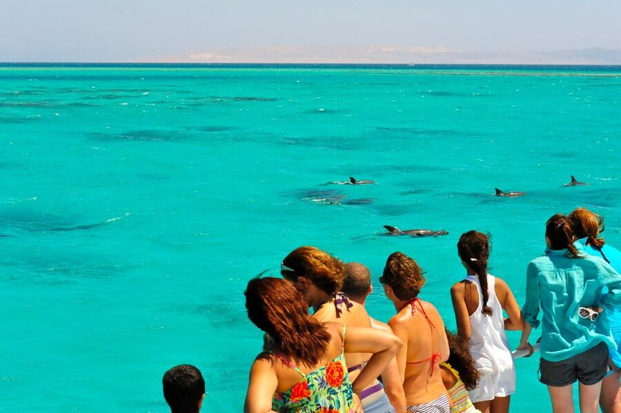 From Key West: Dolphin Watching Tour with Lunch & Drinks - Sandbar Time: White Sand, Clear Water, and Unlimited Drinks