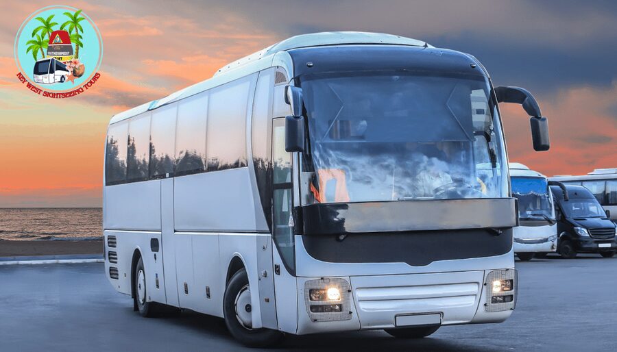From Miami: Day Trip to Key West with optional Hotel pick up - Getting back to Miami: meeting the bus and keeping the day smooth