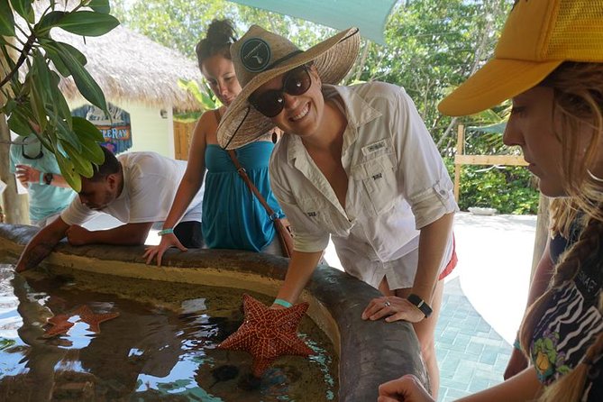 Full-Day Tour of Florida Keys Including Aquarium Encounters from Key West - Aquarium Encounters: animal time plus free exploring, with optional add-ons