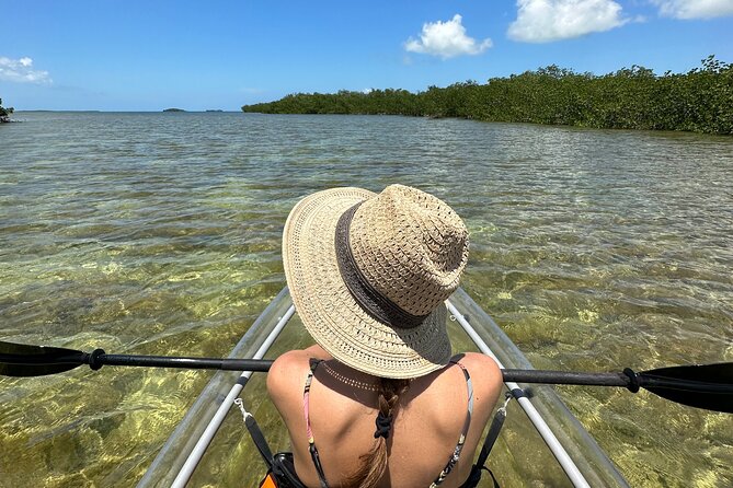Guided Clear Kayak Eco-Tour Near Key West - Key highlights you’ll actually feel on the water