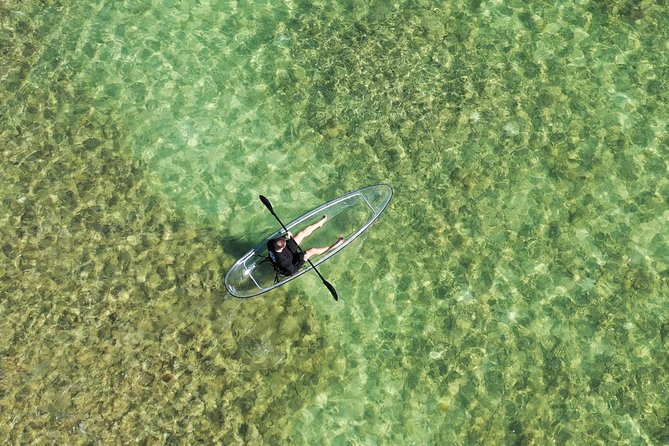 Guided Clear Kayak Eco-Tour Near Key West - What you’ll spot under the plexiglass, and what you shouldn’t count on