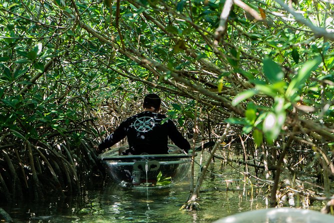 Guided Clear Kayak Eco-Tour Near Key West - Stop 2 in the marine sanctuary: the longer run where the magic happens