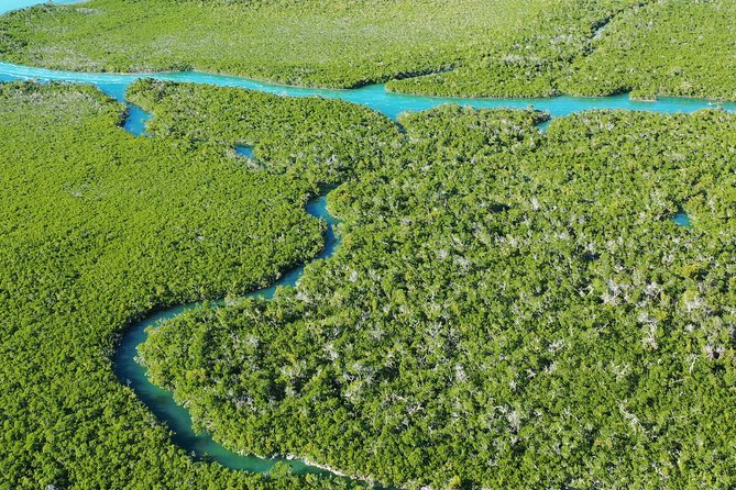 Guided Clear Kayak Eco-Tour Near Key West - The guide makes or breaks the clear-kayak experience