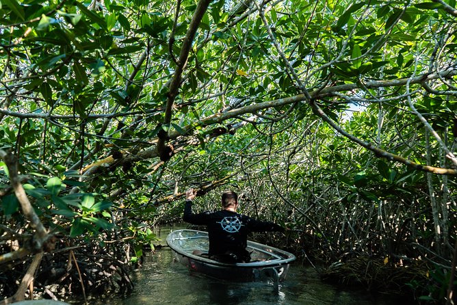 Guided Clear Kayak Eco-Tour Near Key West - From Overseas Highway to mangrove tunnels: how the paddling works