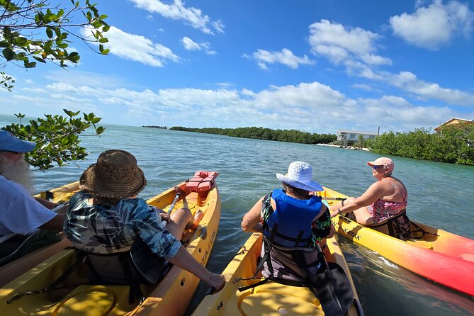Guided Mangrove Eco Tours Kayak or Paddleboard Adventure - Getting On the Water: Meet Point and Pickup That Actually Help