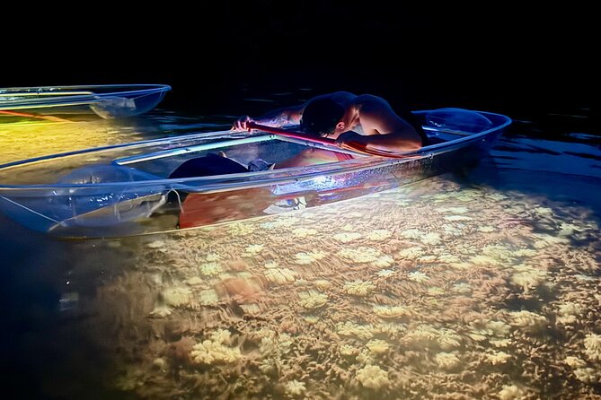 Guided Night Kayak Adventure Tour in Luminous Lagoon - Key things to know before you go