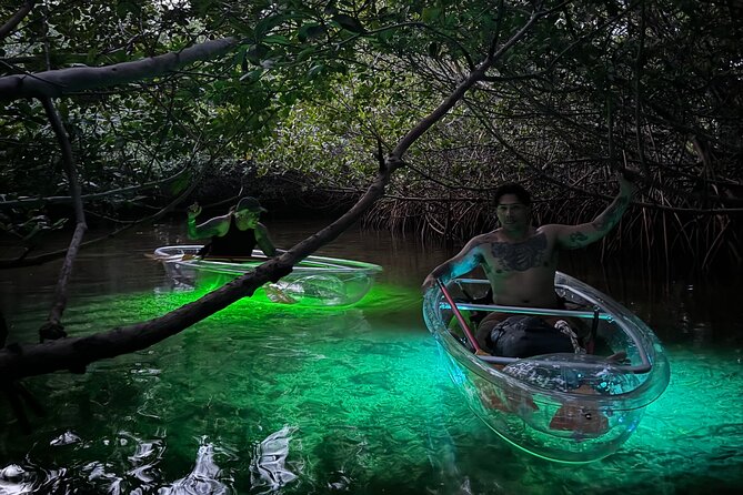 Guided Night Kayak Adventure Tour in Luminous Lagoon - Wildlife odds at night: sharks, jellyfish, starfish, and manatee