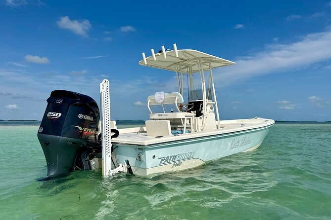 Half-Day Backcountry Fishing Charter from Key West - What You’ll Fish: Flats, Mangrove Islands, and Shallow Wrecks