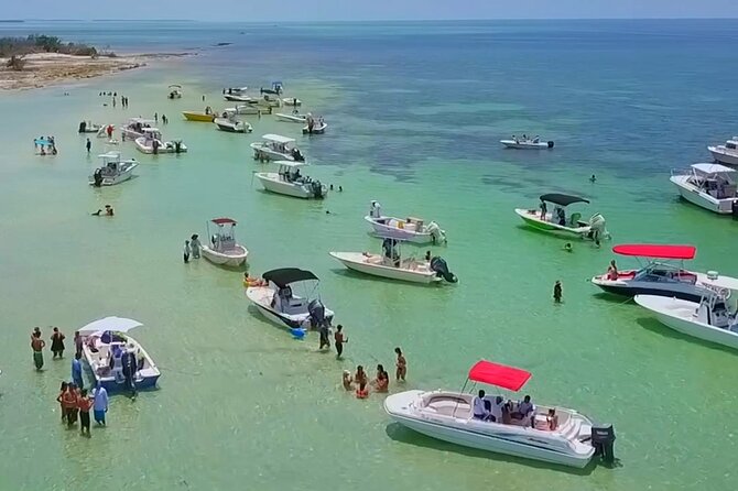 Half Day Charter Sandbar Snorkeling and Eco Adventure - Key Highlights to Know Before You Go