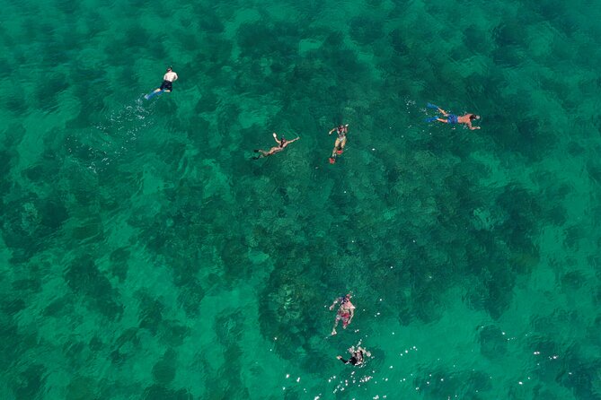 Half-Day Morning Trip from Key West with Kayaking and Snorkeling - Key Things I’d Pay Attention To