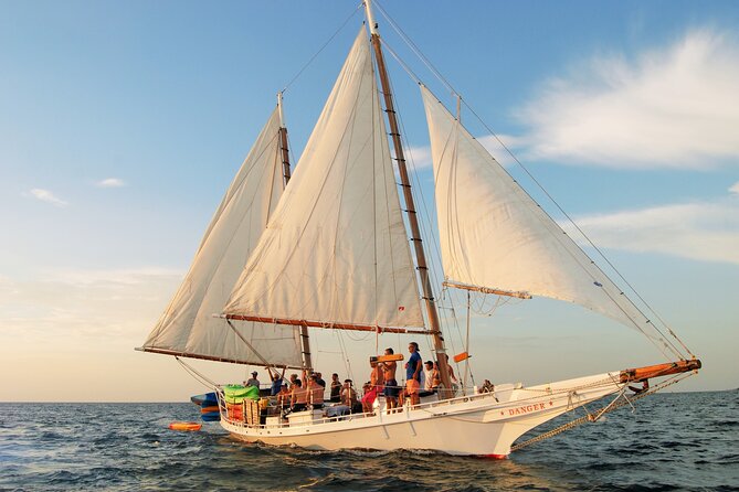 Half-Day Morning Trip from Key West with Kayaking and Snorkeling - Weather and Swells: How to Show Up and Still Have a Good Time