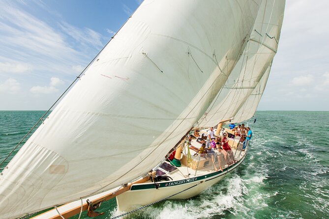 Half-Day Morning Trip from Key West with Kayaking and Snorkeling - Who This Tour Is Perfect For (and Who Might Want Another Option)